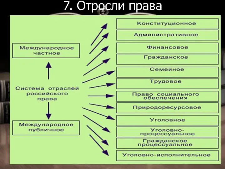 7. Отросли права