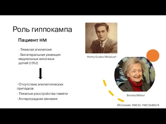 Роль гиппокампа Пациент HM - Тяжелая эпилепсия - Билатеральная резекция медиальных височных