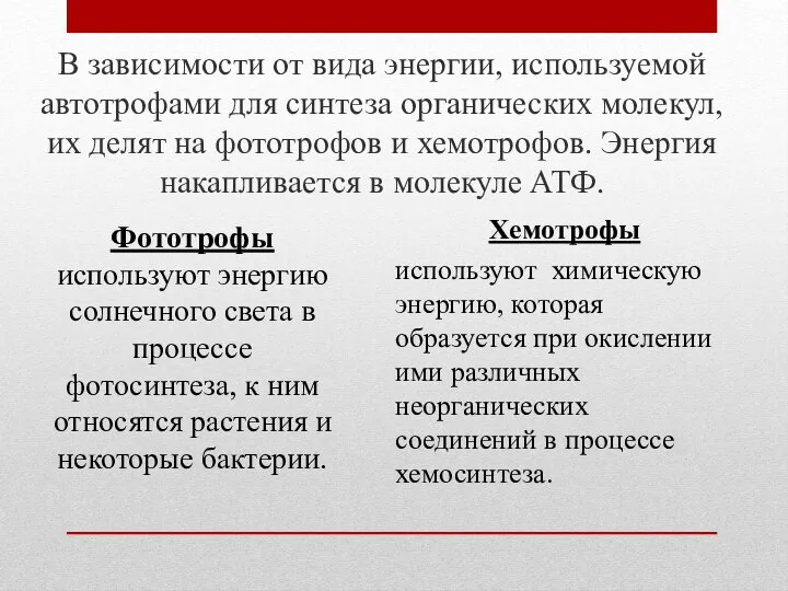 В зависимости от вида энергии, используемой автотрофами для синтеза органических молекул, их