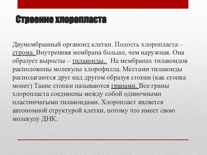 Строение хлоропласта Двумембранный органоид клетки. Полость хлоропласта – строма. Внутренняя мембрана больше,