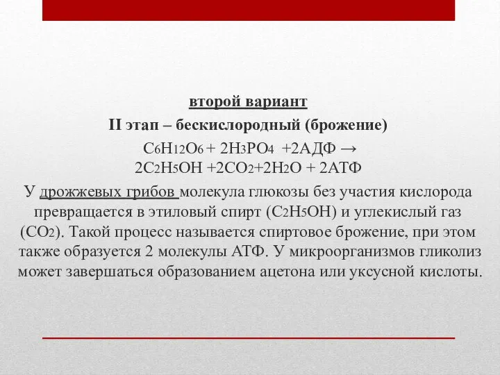 второй вариант II этап – бескислородный (брожение) С6Н12О6 + 2Н3РО4 +2АДФ →