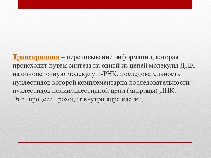 Транскрипция – переписывание информации, которая происходит путем синтеза на одной из цепей