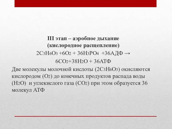 III этап – аэробное дыхание (кислородное расщепление) 2С3Н6О3 +6О2 + 36Н3РО4 +36АДФ