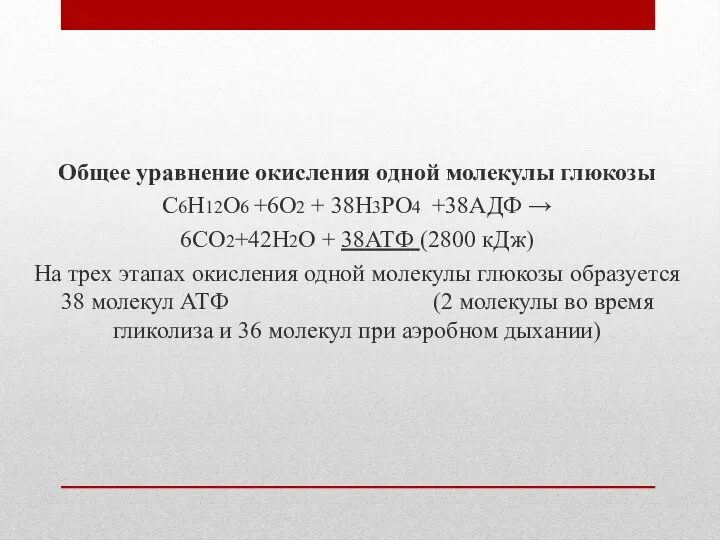 Общее уравнение окисления одной молекулы глюкозы С6Н12О6 +6О2 + 38Н3РО4 +38АДФ →