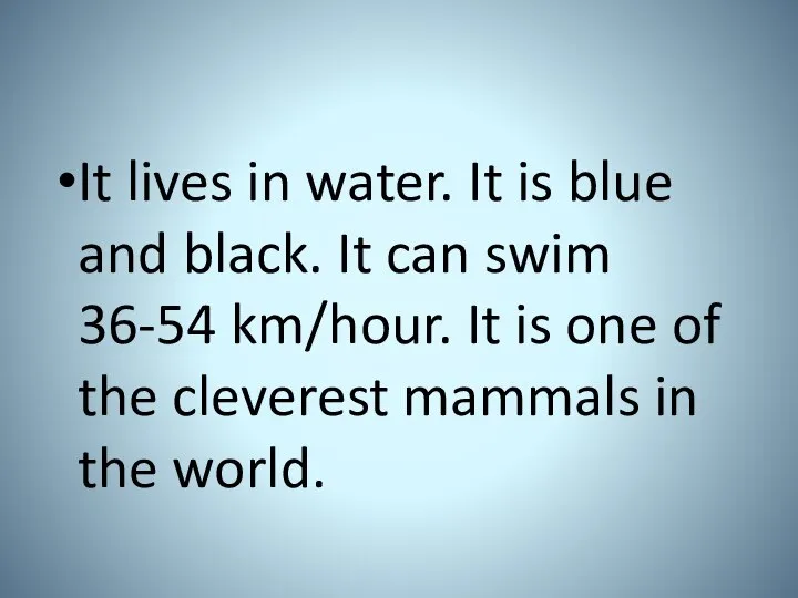 It lives in water. It is blue and black. It can swim