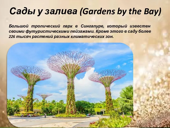 Сады у залива (Gardens by the Bay) Большой тропический парк в Сингапуре,