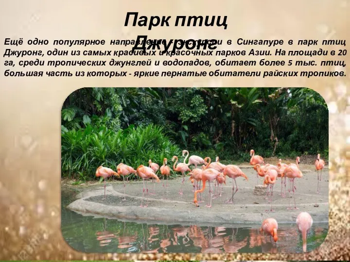 Ещё одно популярное направление - экскурсии в Сингапуре в парк птиц Джуронг,