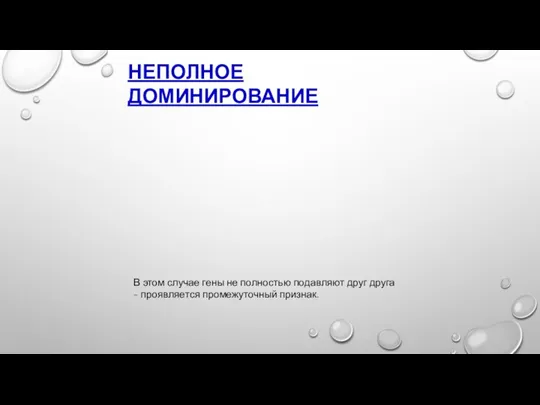 НЕПОЛНОЕ ДОМИНИРОВАНИЕ В этом случае гены не полностью подавляют друг друга - проявляется промежуточный признак.