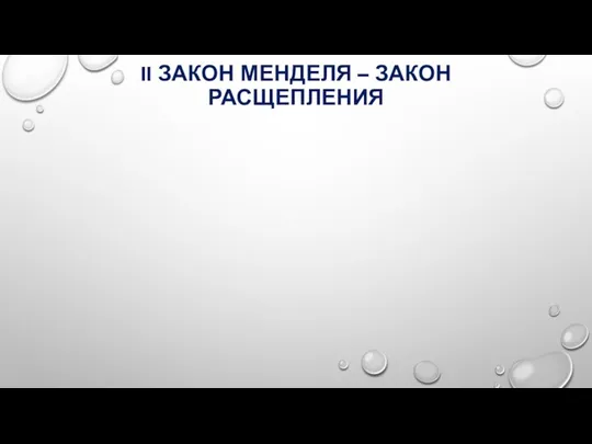 II ЗАКОН МЕНДЕЛЯ – ЗАКОН РАСЩЕПЛЕНИЯ