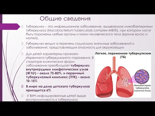 Общие сведения Туберкулез – это инфекционное заболевание, вызываемое микобактериями туберкулеза (Mycobacterium tuberculosis