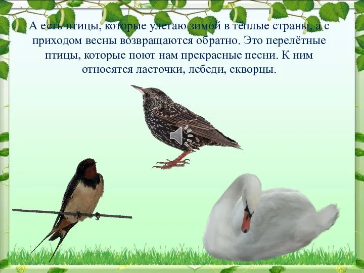 А есть птицы, которые улетаю зимой в тёплые страны, а с приходом