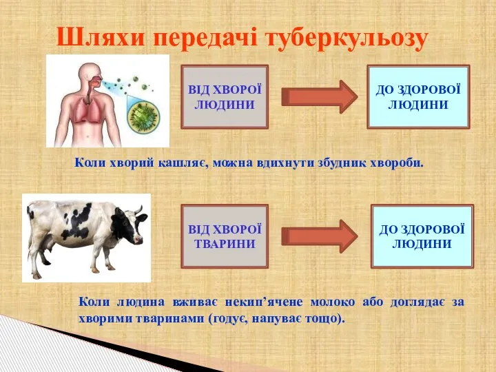 Шляхи передачі туберкульозу ВІД ХВОРОЇ ЛЮДИНИ ДО ЗДОРОВОЇ ЛЮДИНИ Коли хворий кашляє,