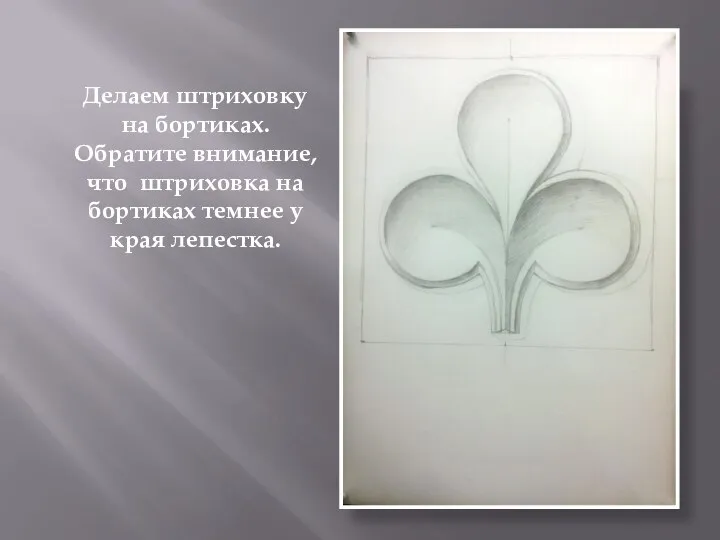 Делаем штриховку на бортиках. Обратите внимание, что штриховка на бортиках темнее у края лепестка.