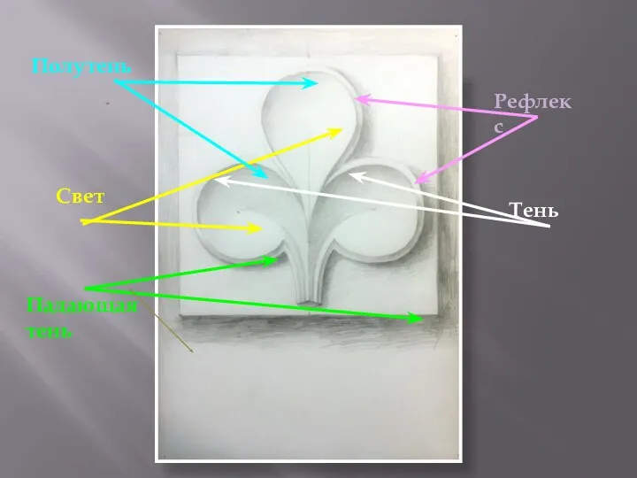 Свет Тень Полутень Рефлекс Падающая тень