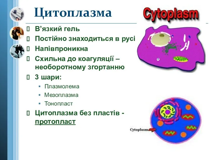 В’язкий гель Постійно знаходиться в русі Напівпроникна Схильна до коагуляції – необоротному