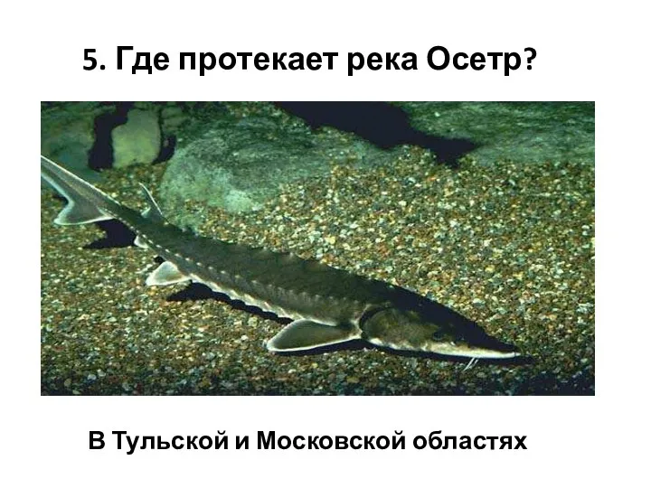 5. Где протекает река Осетр? В Тульской и Московской областях