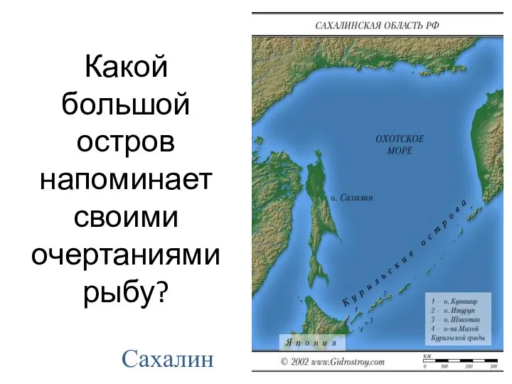 Какой большой остров напоминает своими очертаниями рыбу? Сахалин