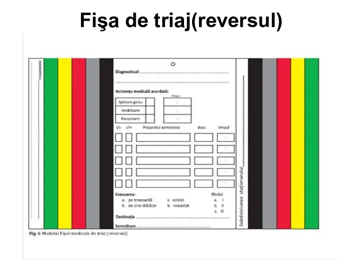 Fişa de triaj(reversul)