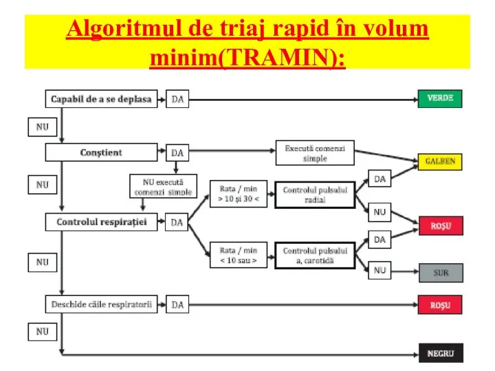 Algoritmul de triaj rapid în volum minim(TRAMIN):