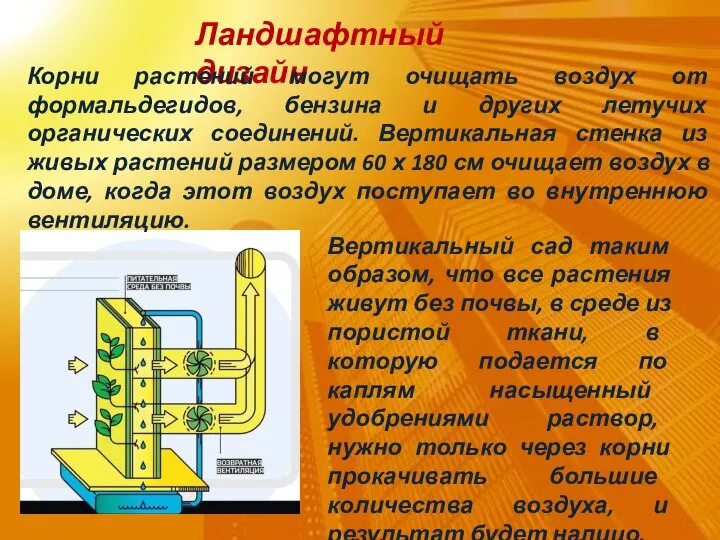 Ландшафтный дизайн Корни растений могут очищать воздух от формальдегидов, бензина и других