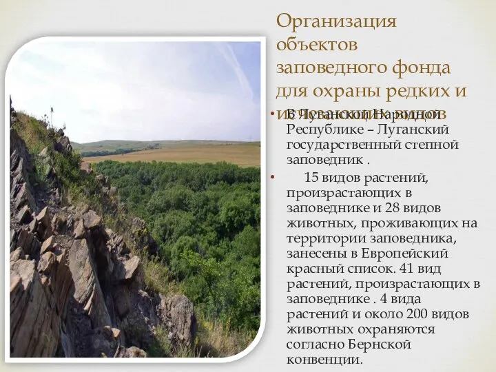 Организация объектов заповедного фонда для охраны редких и исчезающих видов В Луганской