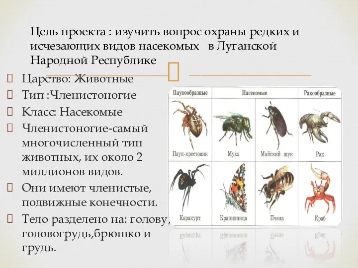 Цель проекта : изучить вопрос охраны редких и исчезающих видов насекомых в
