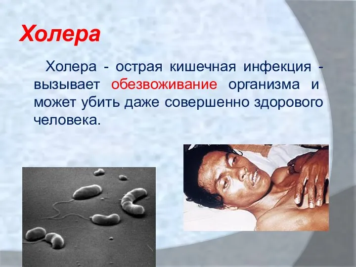 Холера Холера - острая кишечная инфекция -вызывает обезвоживание организма и может убить даже совершенно здорового человека.