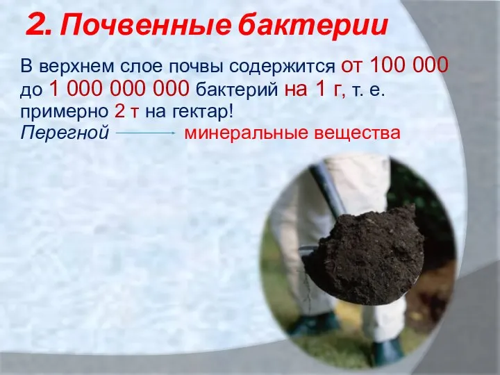 В верхнем слое почвы содержится от 100 000 до 1 000 000