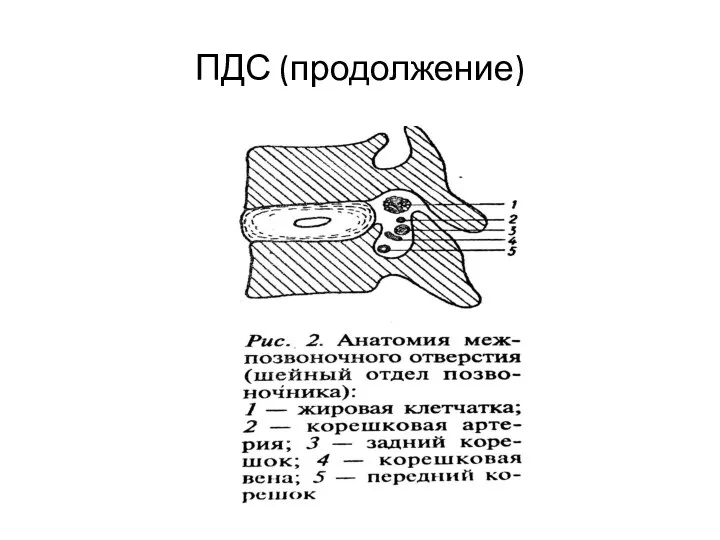 ПДС (продолжение)