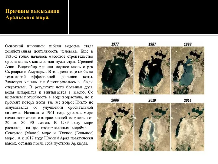 Причины высыхания Аральского моря. Основной причиной гибели водоема стала хозяйственная деятельность человека.