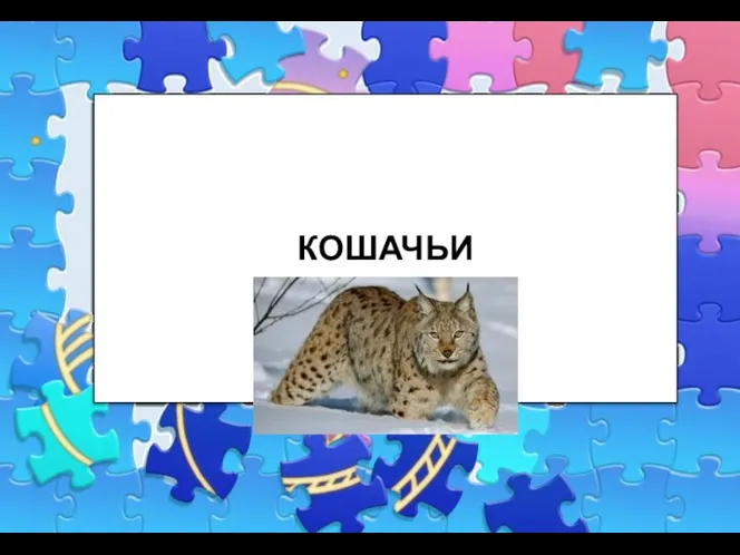 КОШАЧЬИ