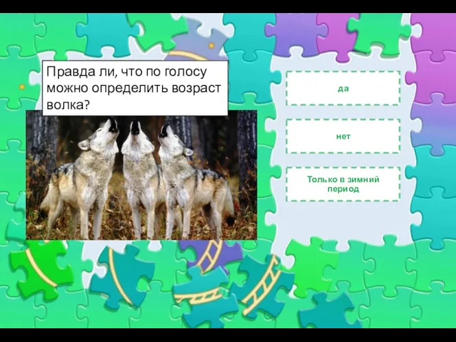 Введите сюда текст вопроса нет да Только в зимний период Правда ли,