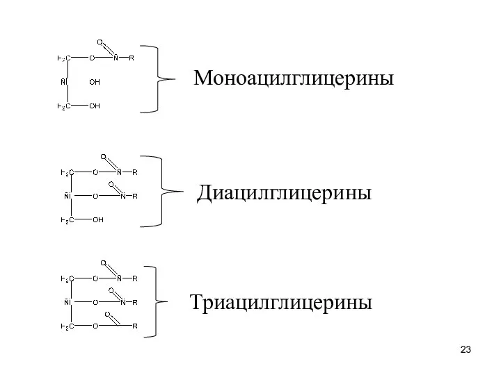 Триацилглицерины Диацилглицерины Моноацилглицерины