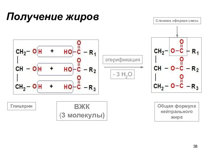 Получение жиров