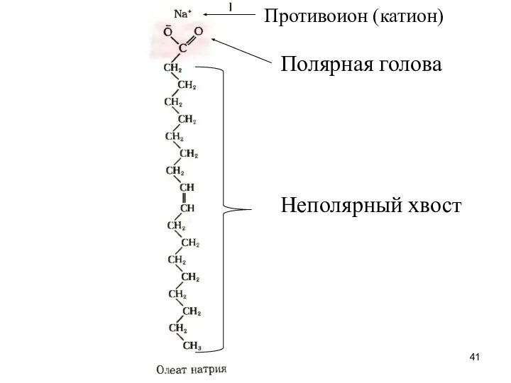 Противоион (катион) Полярная голова Неполярный хвост