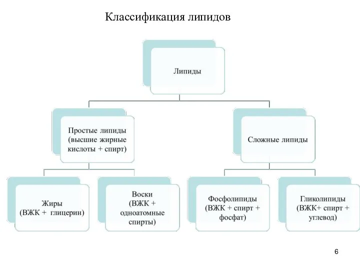 Классификация липидов