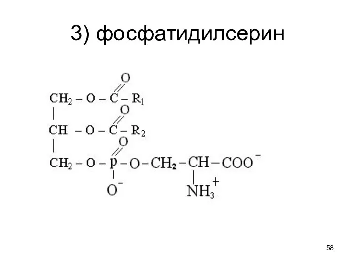 3) фосфатидилсерин