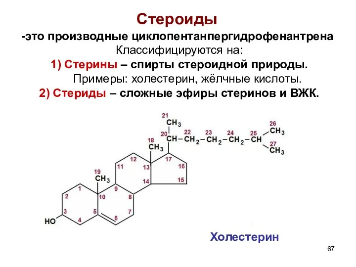 Стероиды это производные циклопентанпергидрофенантрена Классифицируются на: 1) Стерины – спирты стероидной природы.