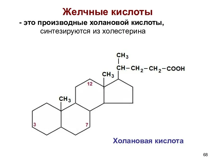 Желчные кислоты это производные холановой кислоты, синтезируются из холестерина Холановая кислота