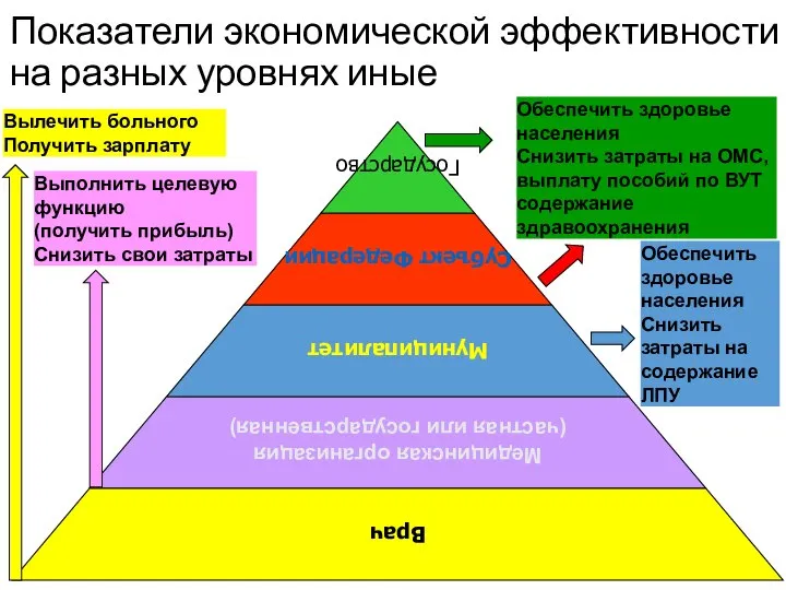 Показатели экономической эффективности на разных уровнях иные Государство Субъект Федерации Муниципалитет Медицинская