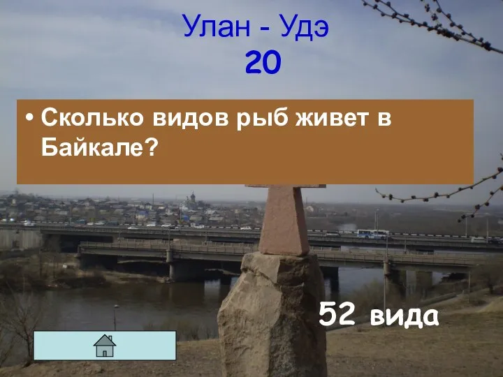 Улан - Удэ 20 Сколько видов рыб живет в Байкале? 52 вида