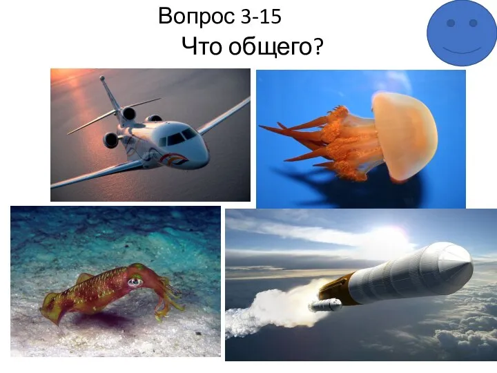 Вопрос 3-15 Что общего?