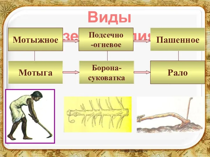 Виды земледелия Пашенное Мотыжное Рало Подсечно -огневое Борона- суковатка Мотыга