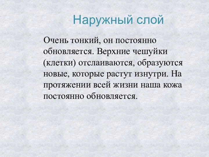 Наружный слой Очень тонкий, он постоянно обновляется. Верхние чешуйки (клетки) отслаиваются, образуются