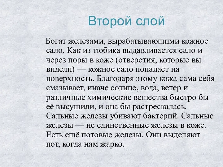 Второй слой Богат железами, вырабатывающими кожное сало. Как из тюбика выдавливается сало