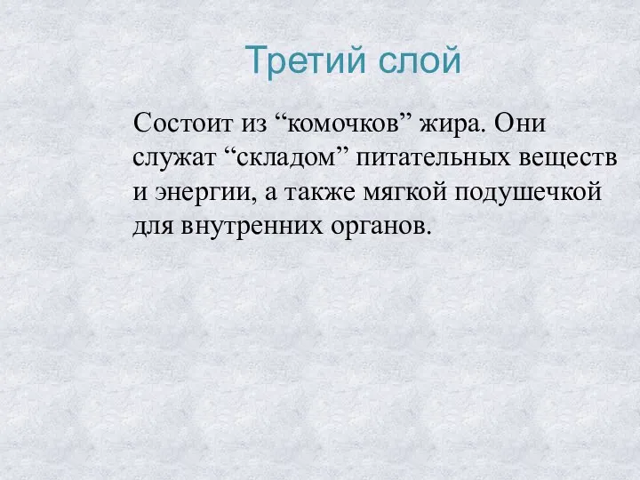 Третий слой Состоит из “комочков” жира. Они служат “складом” питательных веществ и