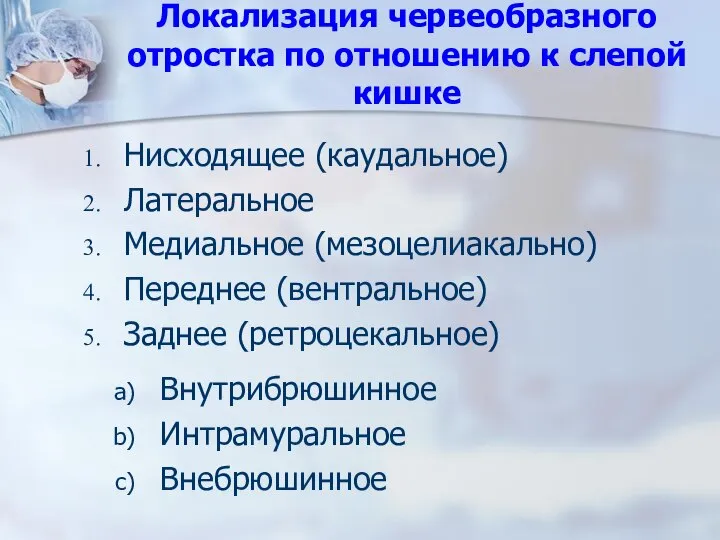 Локализация червеобразного отростка по отношению к слепой кишке Нисходящее (каудальное) Латеральное Медиальное