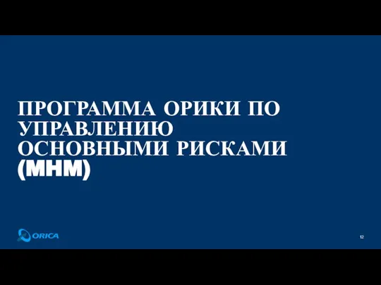 ПРОГРАММА ОРИКИ ПО УПРАВЛЕНИЮ ОСНОВНЫМИ РИСКАМИ (MHM)