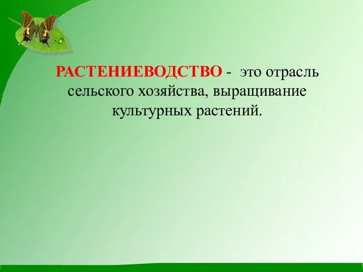 РАСТЕНИЕВОДСТВО - это отрасль сельского хозяйства, выращивание культурных растений.