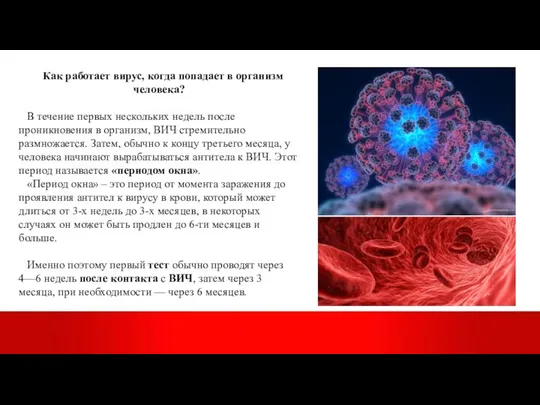 Как работает вирус, когда попадает в организм человека? В течение первых нескольких